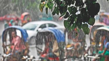 Rainy1.jpg