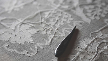 Reviving Muslin