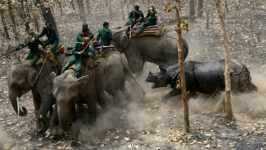 Nepal rhinos break loose