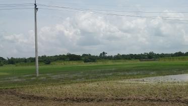 river dredging.jpg