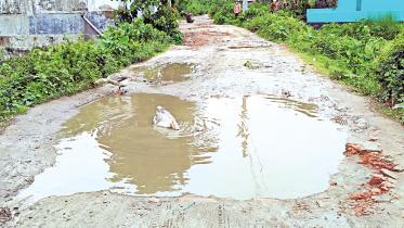 road1.jpg