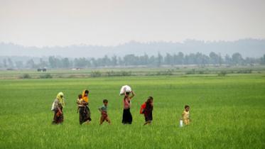 Rohingya refugees, Myanmar, Bangladesh, Landmines, 