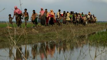 Rohingya refugees