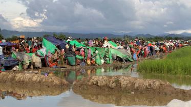 Rohingya refugees