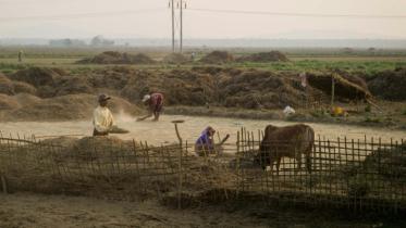 Rohingya Refugees