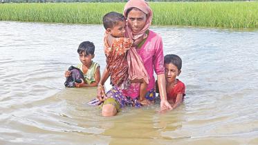 Rohingya influx again