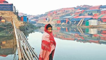 Rohingya crisis