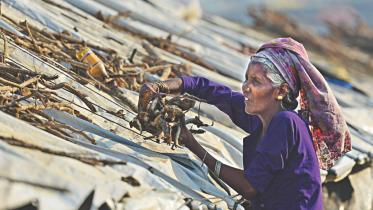 Rohingya refugee woman