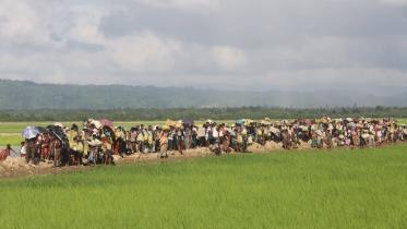 Rohingya refugees, Myanmar, Bangladesh, Rohingya people, 