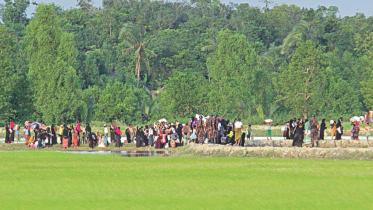 rohingya_under_attack.jpg