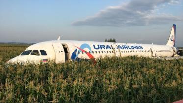 Russia bird strike
