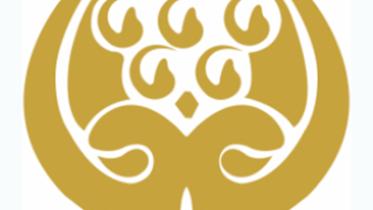 saarc-logo-final.jpg