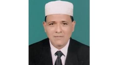 Saju-palo-web.jpg