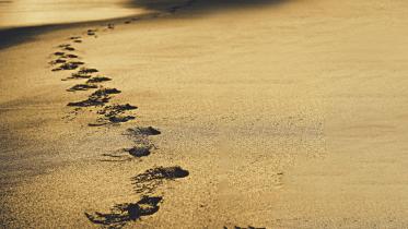 Sand by the Sea