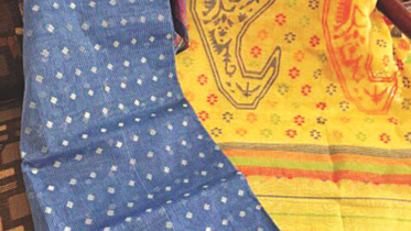 sari exhibition