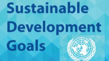 sdg-goal.jpg