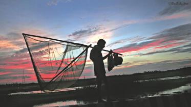 A fisherman