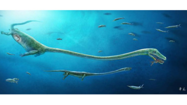 Sea-MonsterWB.jpg