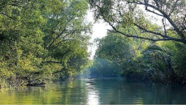 shela_river_new_0.jpg