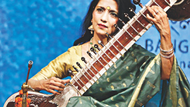 sitar.jpg
