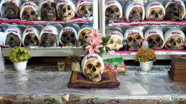skulls.JPG