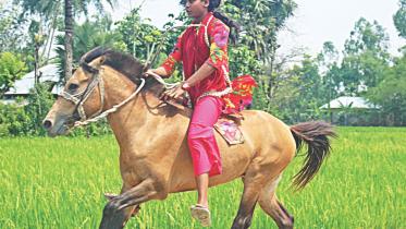 SMART RIDER.jpg