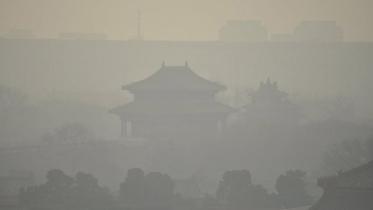 smog new.jpg