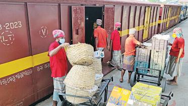 Special-train-mango.jpg
