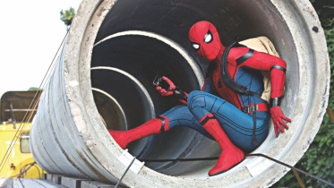 spider.jpg