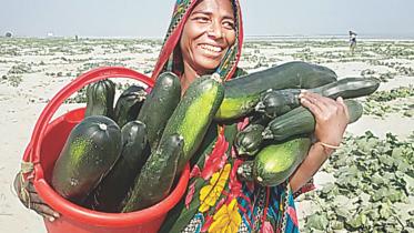 Squash farming.jpg