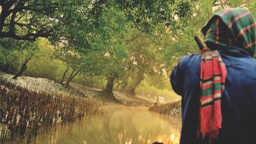 Sundarbans