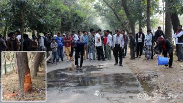 Sust, Shahjalal University of Science and Technology, road crash