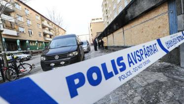 Swedish-burglar.jpg
