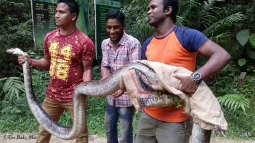 Sylhet-Sheikh-nasir-(10).jpg