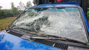 Tangail-Police-Car-wb.jpg