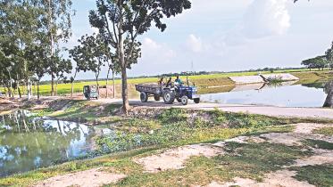Teesta Project Irrigation hampered.jpg