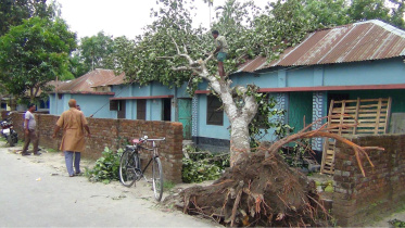 Thakurgaon.JPG