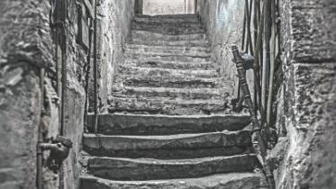 The Basement