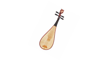 The pipa