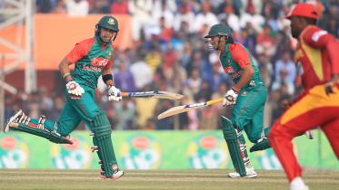 Tigers-1.jpg-NS.jpg