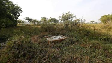 toilet-web.jpg