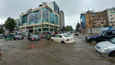 Traffic-Alert-post-rapa-river-web.jpg