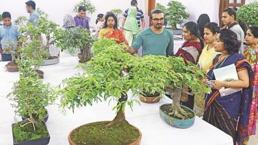 tree plant 1.jpg
