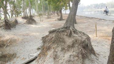 WDB must act against sand,earth  lifters