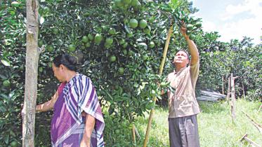 Trishul Chakma.jpg