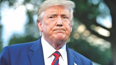 trump not king.jpg