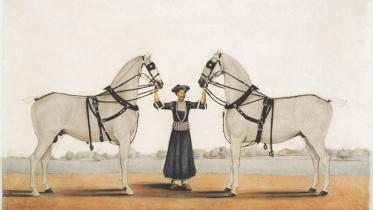Two Carriage Horses
