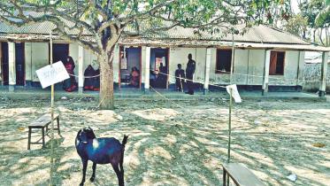 Reform to electoral process a must: EC Mahbub