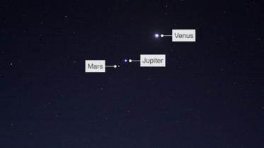 venus 1.jpg