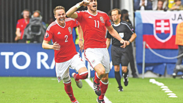 wales win.jpg
